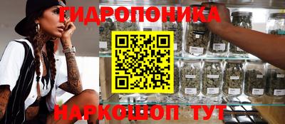 гидра Кимры