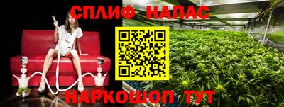 кокаин перу Кингисепп