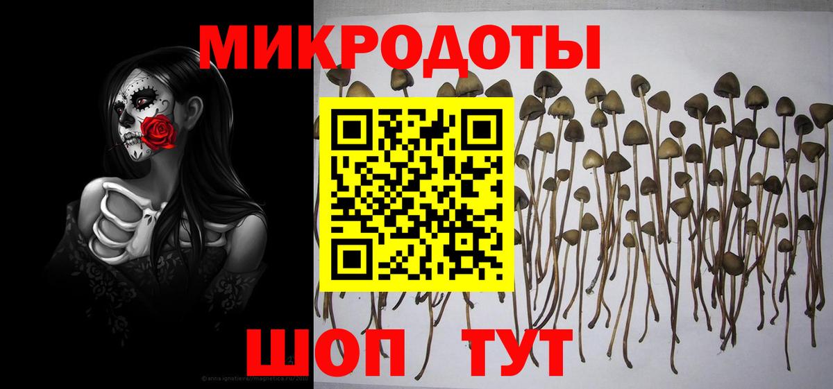 Псилоцибиновые грибы Psilocybine cubensis  Вход с VPN  Ярославль 