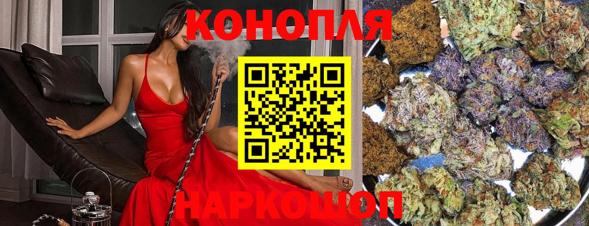 Бошки марихуана планчик  Вход с VPN  Бошки марихуана сатива  Каннабис VHQ  Ярославль 